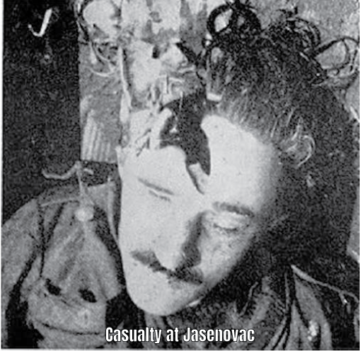 e_jasenovac23-1